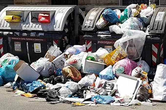 Decenas de jabalíes llegan a Roma atraídos por la basura de las calles 