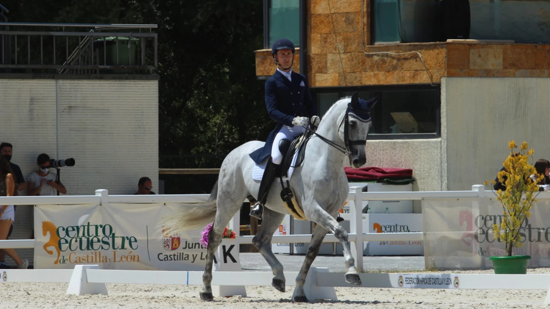 Segovia acoge desde mañana la Semana del Caballo Pura Raza Española