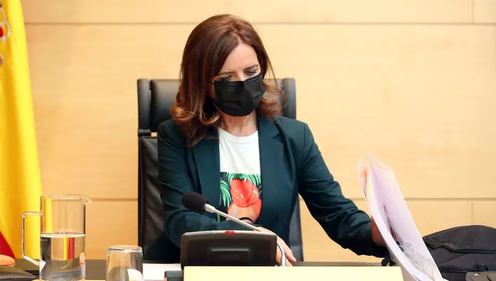 La consejera de Empleo e Industria, Carlota Amigo, comparece en las Cortes para informar sobre el I Plan Director de Promoción Industrial de Castilla y León (2017-2020) ante la Comisión del ramo de las Cortes