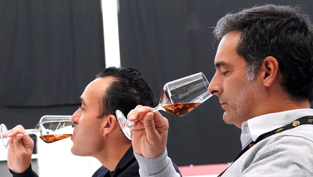 Los vinos de la Ribera del Duero, ganadores de los Premios Envero