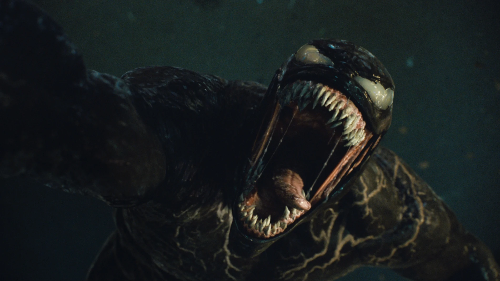 "Venom: habrá matanza" se estrena en España el 15 de octubre y está protagonizada por Tom Hardy y Woody Harrelson