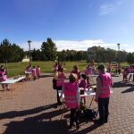 Cuarenta voluntarios participan en la creación de "hogares" para aves en el Parque Botánico Huerta de Otea de Salamanca
