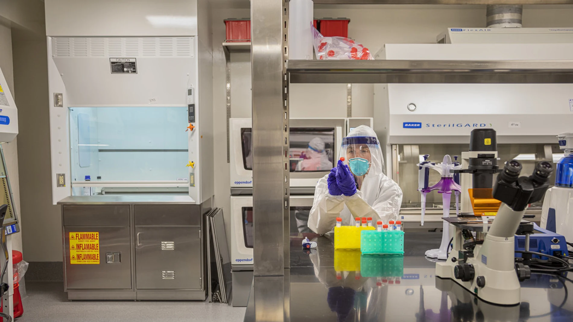 "Un virus sin ruedas": Crean un SARS-CoV-2 no infeccioso