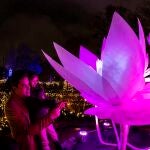 Llega a Valencia Naturaleza Encendida, una sorprendente propuesta inmersiva y mágica que abre sus puertas en el Oceanogràfic desde el 25 de noviembre de 2021 hasta el 16 de enero de 2022