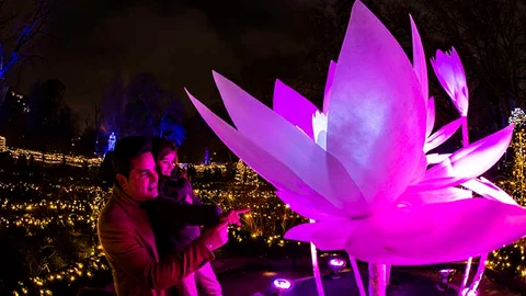 Llega a Valencia Naturaleza Encendida, una sorprendente propuesta inmersiva y mágica que abre sus puertas en el Oceanogràfic desde el 25 de noviembre de 2021 hasta el 16 de enero de 2022