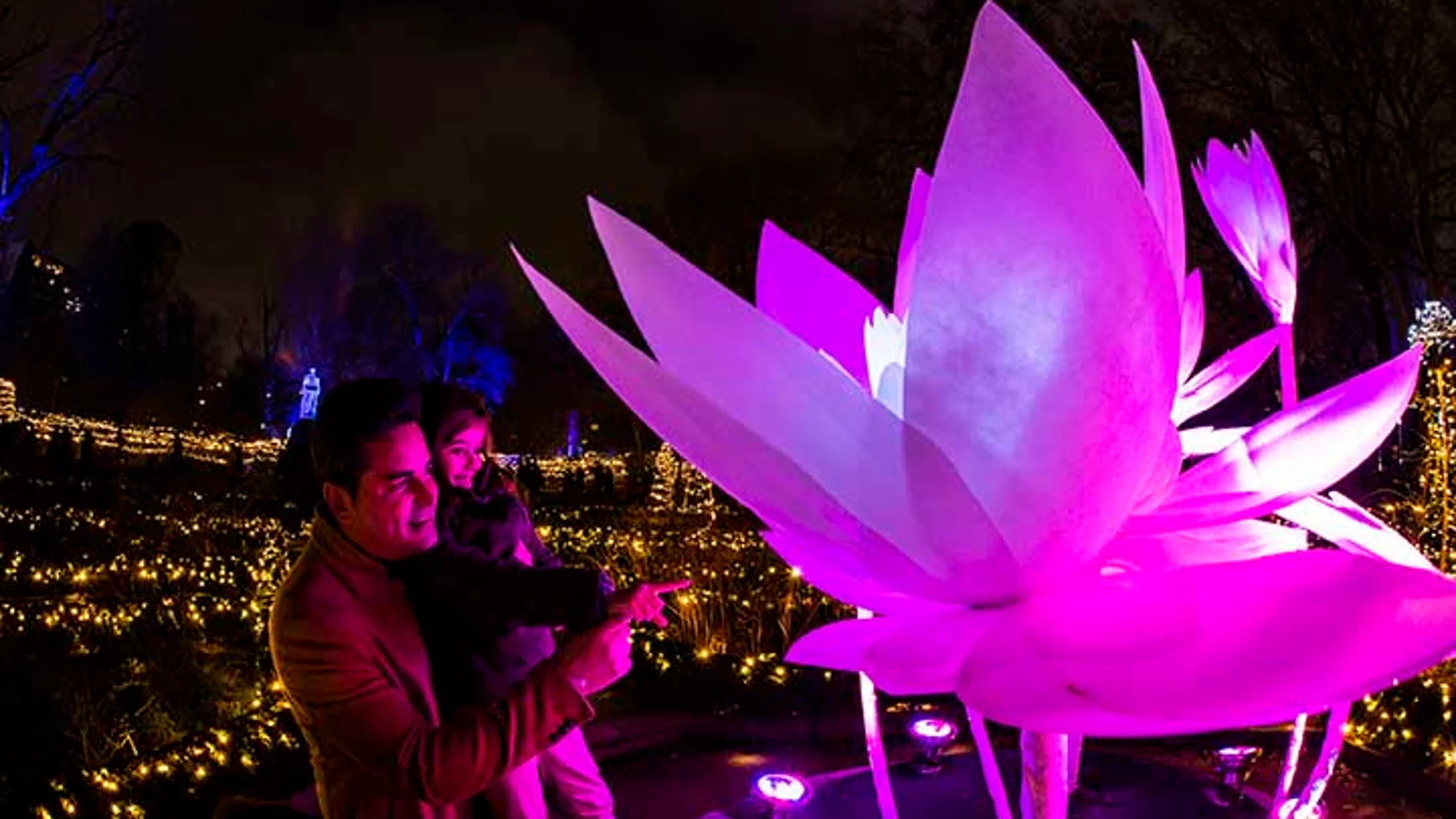 Llega a Valencia Naturaleza Encendida, una sorprendente propuesta inmersiva y mágica que abre sus puertas en el Oceanogràfic desde el 25 de noviembre de 2021 hasta el 16 de enero de 2022