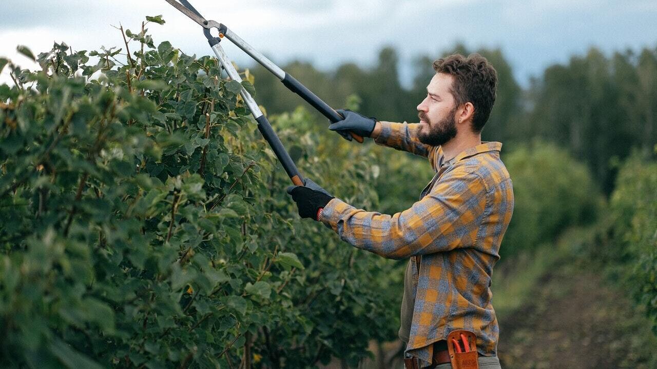 Esta es la mejor ruta del vino en España según la Guía WineUp!
