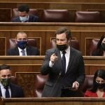 El portavoz de Vox en el Congreso, Iván Espinosa de los Monteros, interviene en una sesión de control al Gobierno en el Congreso de los Diputados