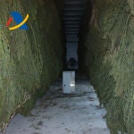 Se han intervenido 4.600 plantas secas, los cogollos y hojas correspondientes a otras 500 plantas secas.