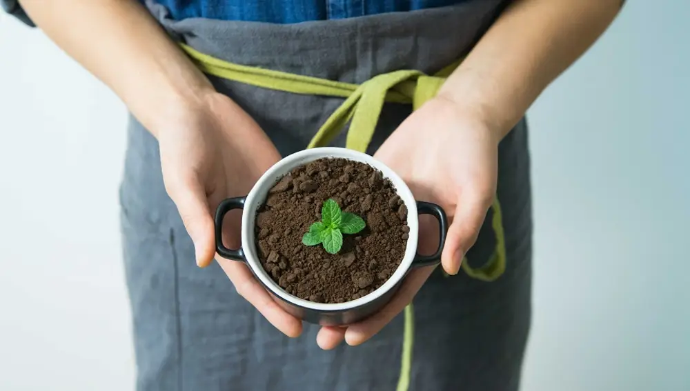 El green marketing implica una transformación de los procesos productivos.