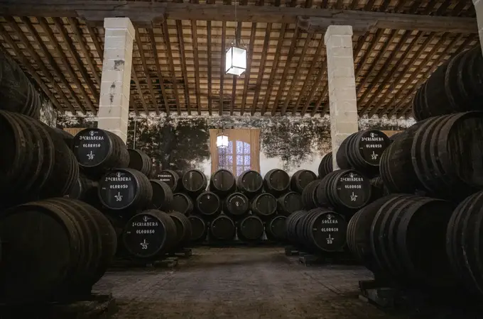 ¿Quiénes son los magnates del vino en España?