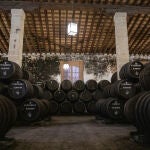 Bodega y pinacotéca Tradicion