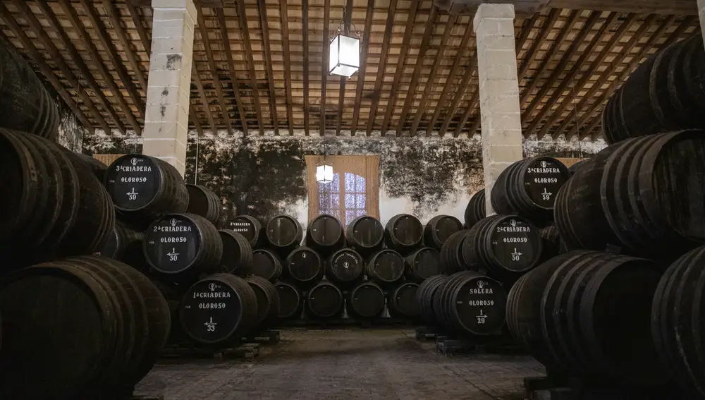 Bodegas Tradición es la más antigua de Jerez de las que existen registros