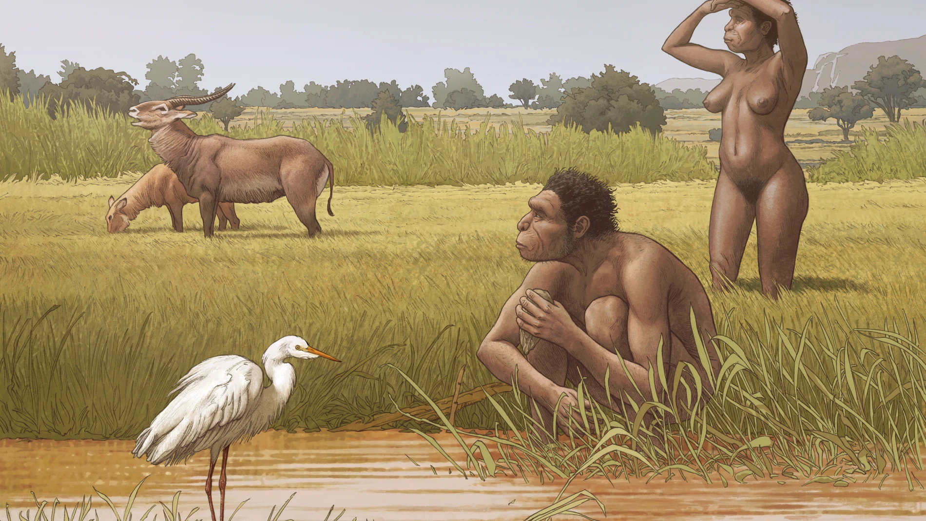 Diorama mostrando un par de Homo bodoensis en la sabana africana del Pleistoceno Medio (Ettore Mazza)