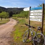 El Parque Regional de Sierra Espuña ofrece una ruta por la naturaleza que cruza el corazón de la Región de Murcia