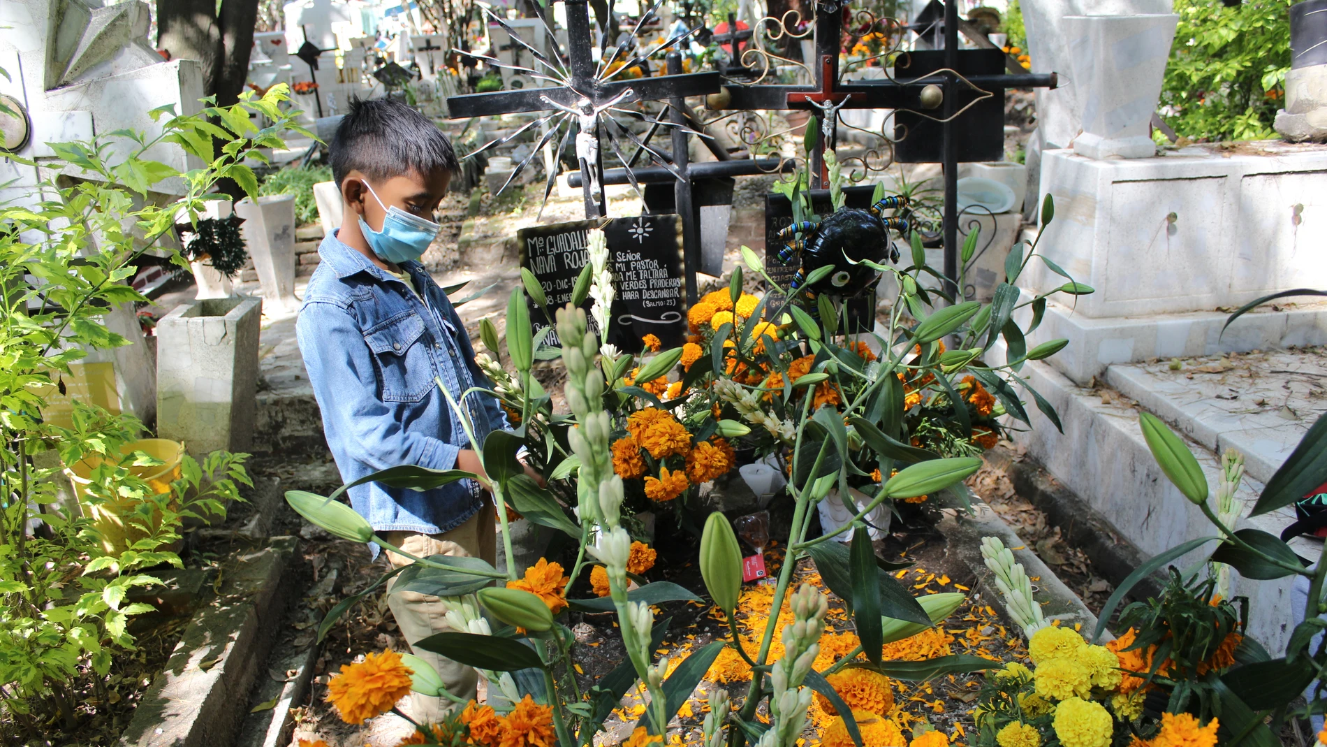 Germán Capultitla observa las tumbas recién decoradas de su tía María Guadalupe y su abuela Flora en el cementerio Xilotepec en el Xochimilco, un barrio al sur de Ciudad de México famoso por sus canales estilo veneciano.