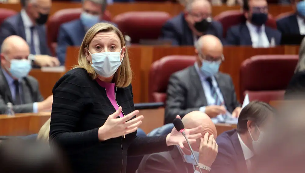 La consejera de Familia, Isabel Blanco, interviene en las Cortes