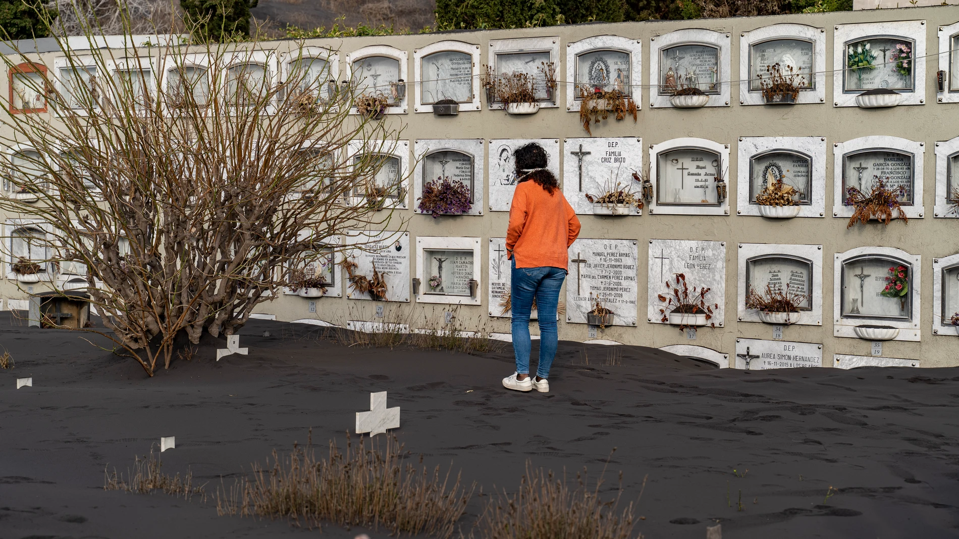 Cementerio de Los Ángeles en Los Llanos de Aridane, La Palma