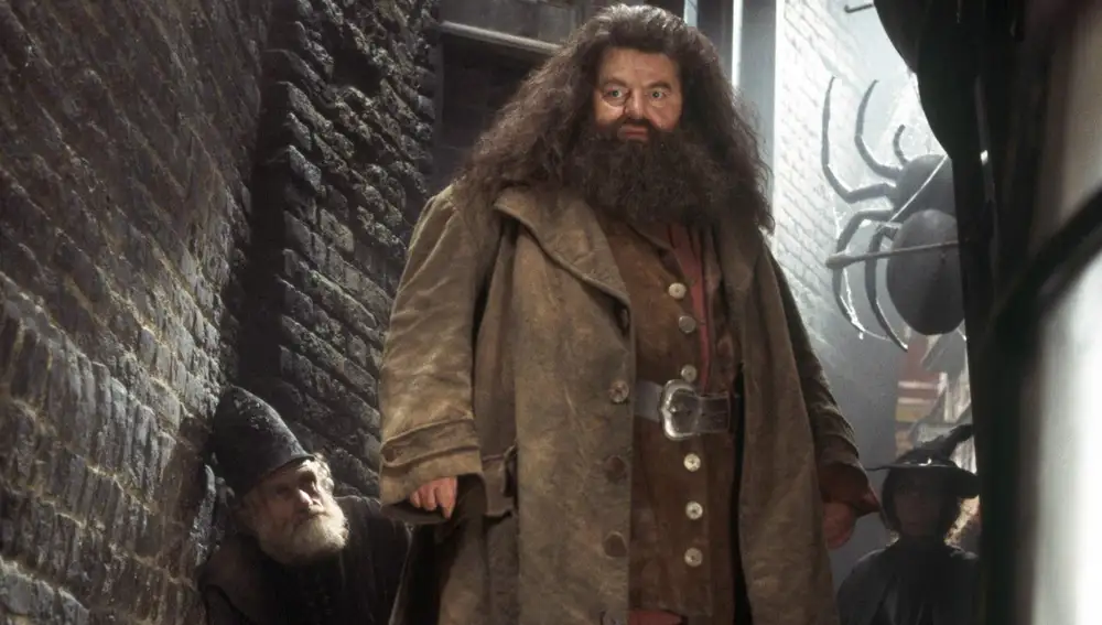 Hagrid en &quot;Harry Potter y la piedra filosofal&quot;
