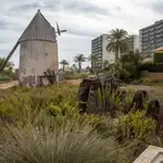 Los molinos salineros de Veneziola, la última incorporación a la Lista Roja de patrimonio en peligro de desaparecer de Hispania Nostra