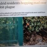 Conejos de Carabanchel en "The Guardian"