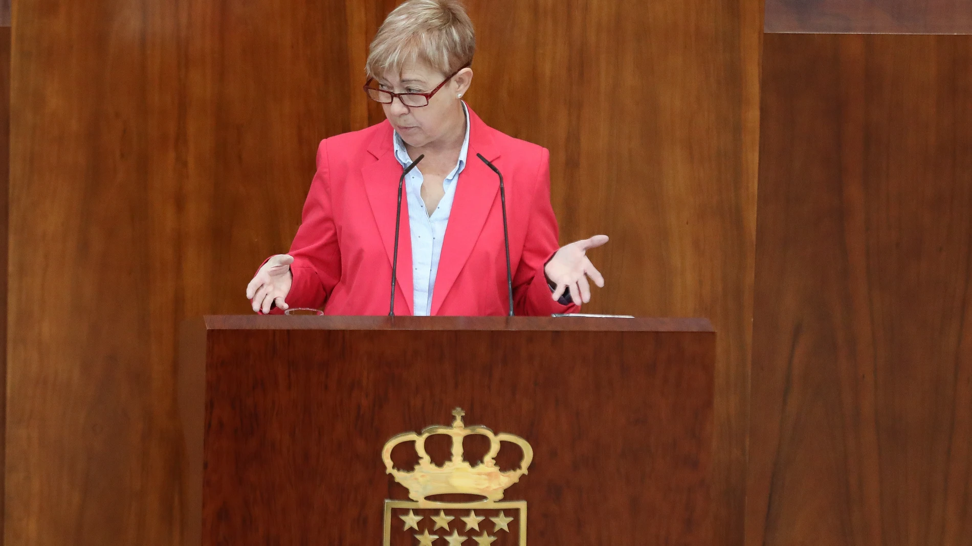 La diputada del PSOE Carmen López durante la intervención en la Asamblea, en noviembre pasado, cuando cuestionó al hermano de la presidenta regional