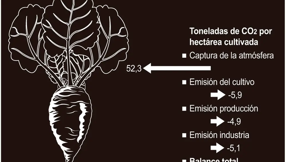 Balance de carbono de la remolacha azucarera