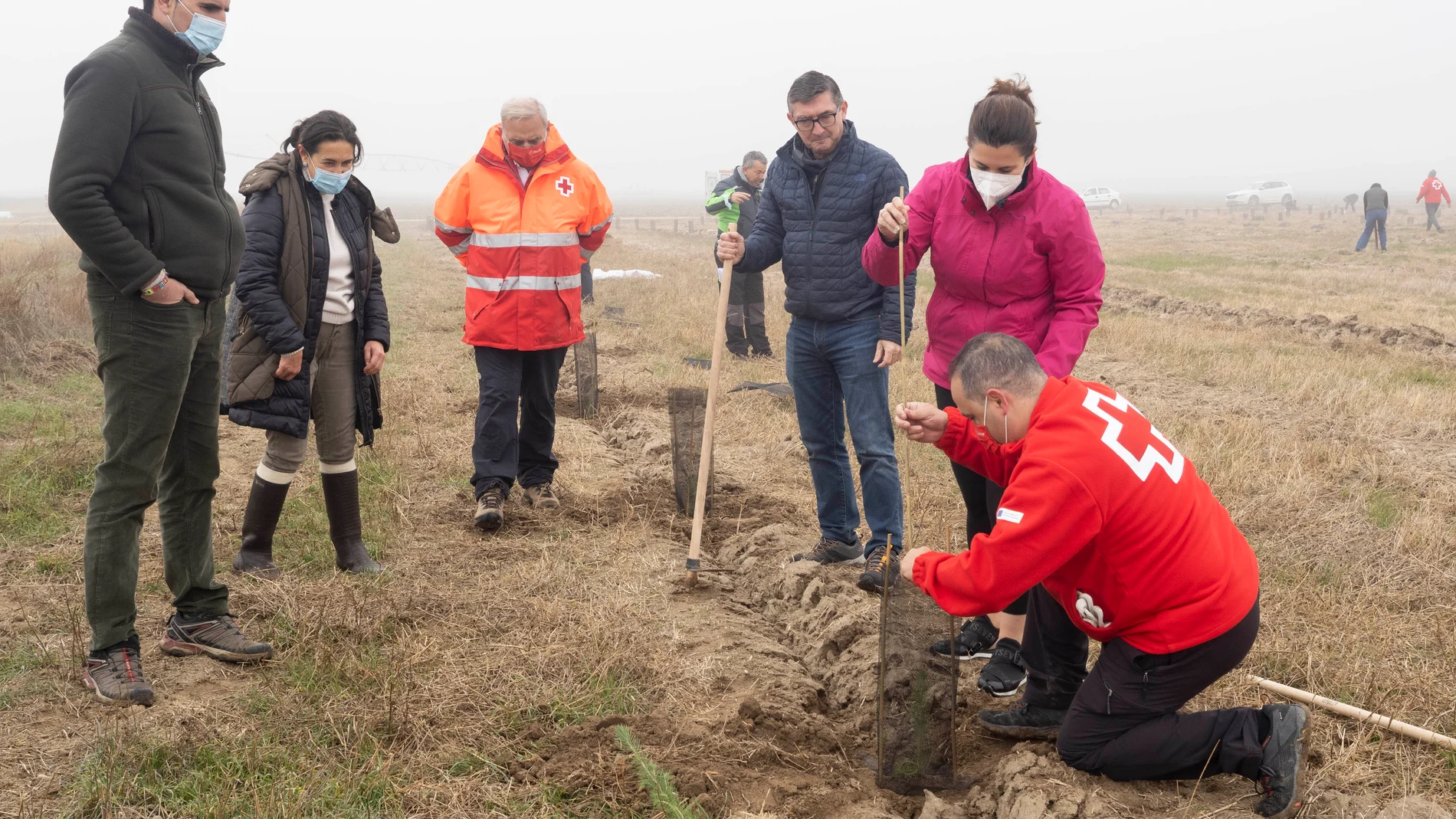 Cruz Roja Castilla y León está plantando 26.000 árboles autóctonos este mes de noviembre