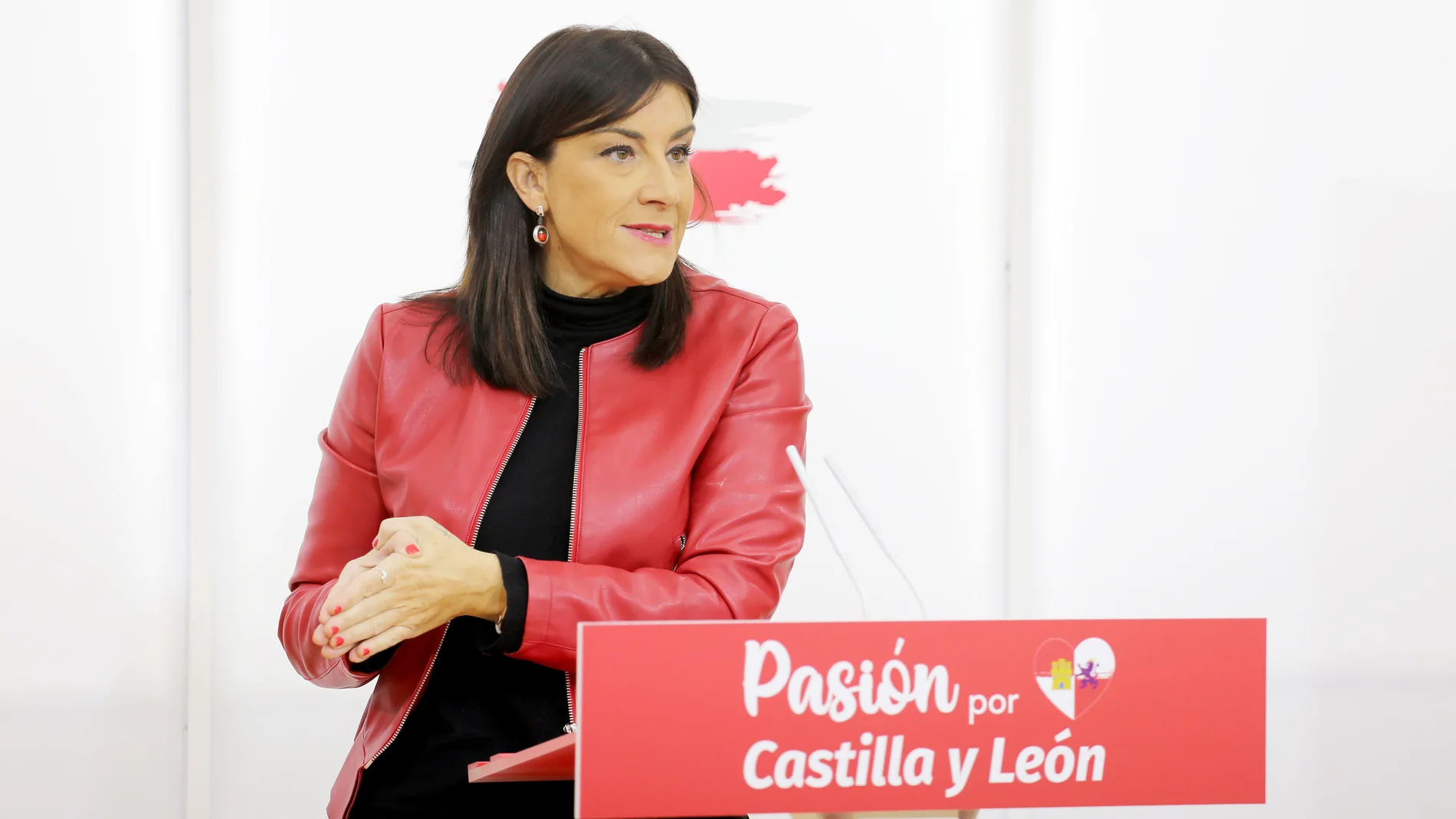 La secretaria de Organización del PSOE de Castilla y León, Ana Sánchez atiende a la prensa