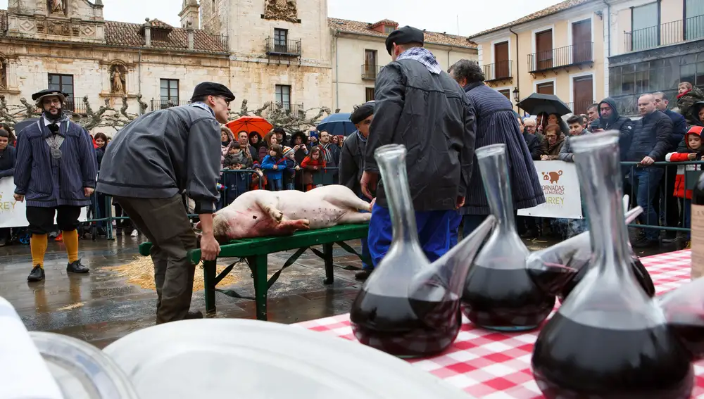 Matanza del cerdo en El Burgo de Osma (Soria)
