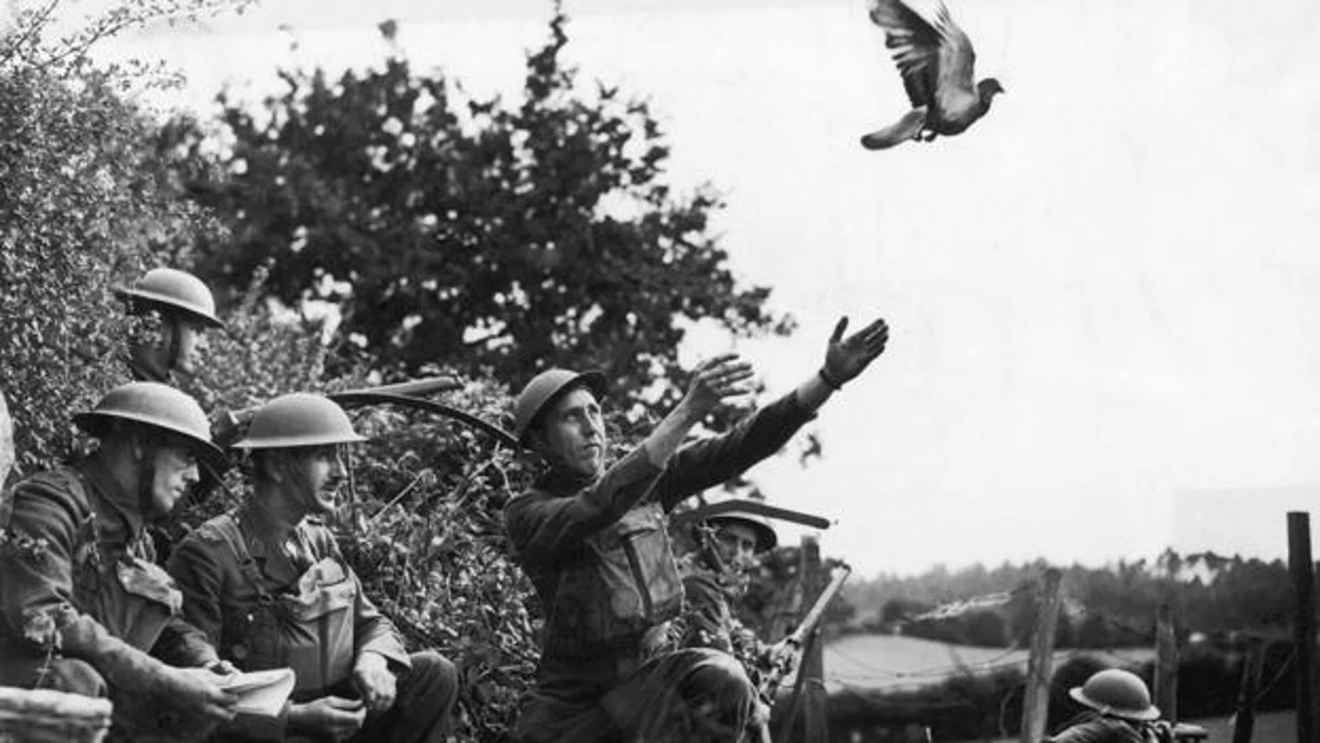 Soldados lanzando una paloma mensajera durante la Segunda Guerra Mundial