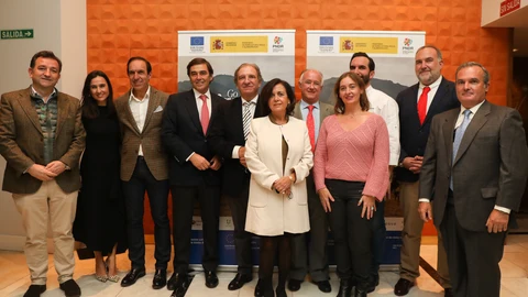 Imagen de la presentación