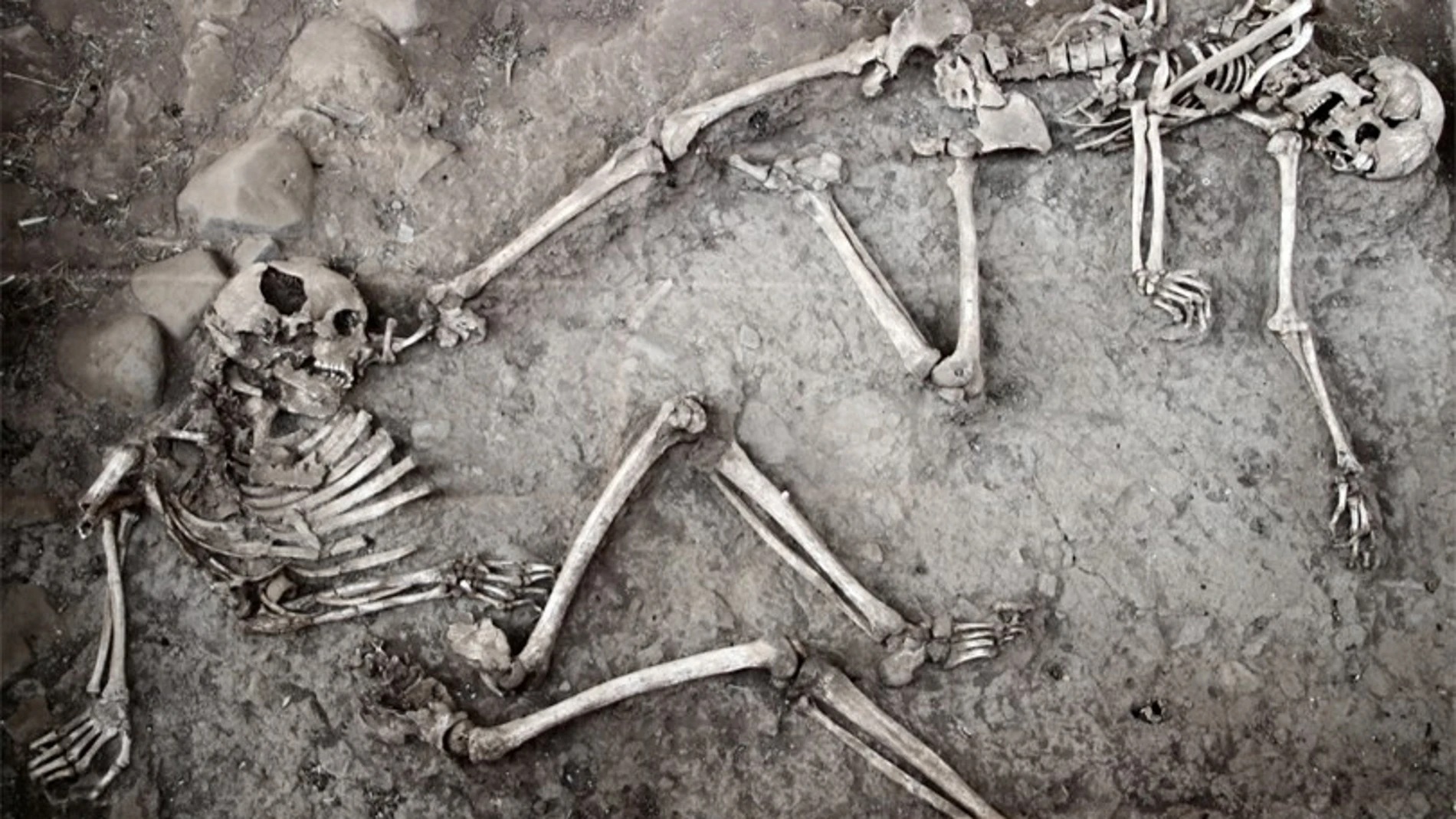 Esqueletos en el yacimiento arqueológico de Nishapur, en Irán