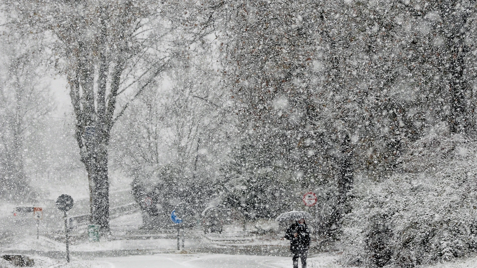 Un hombre pasea bajo la nieve caída en Valladolid