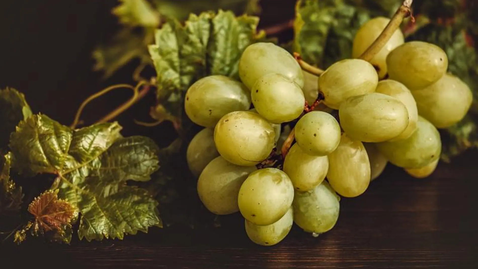 La uva del Vinalopó es otro de los "secretos" navideños valencianos