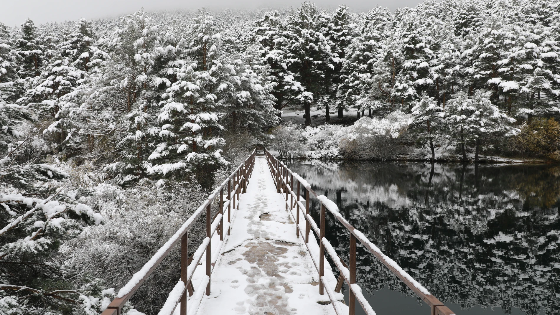 Nevada en La Barranca