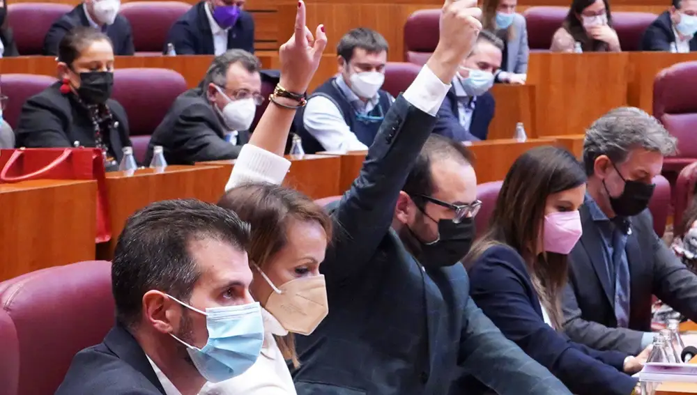 Bancada del PSOE con Luis Tudanca a la cabeza