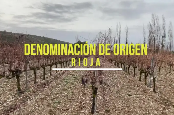 Programa internacional Formador Oficial en Vinos de Rioja 2023