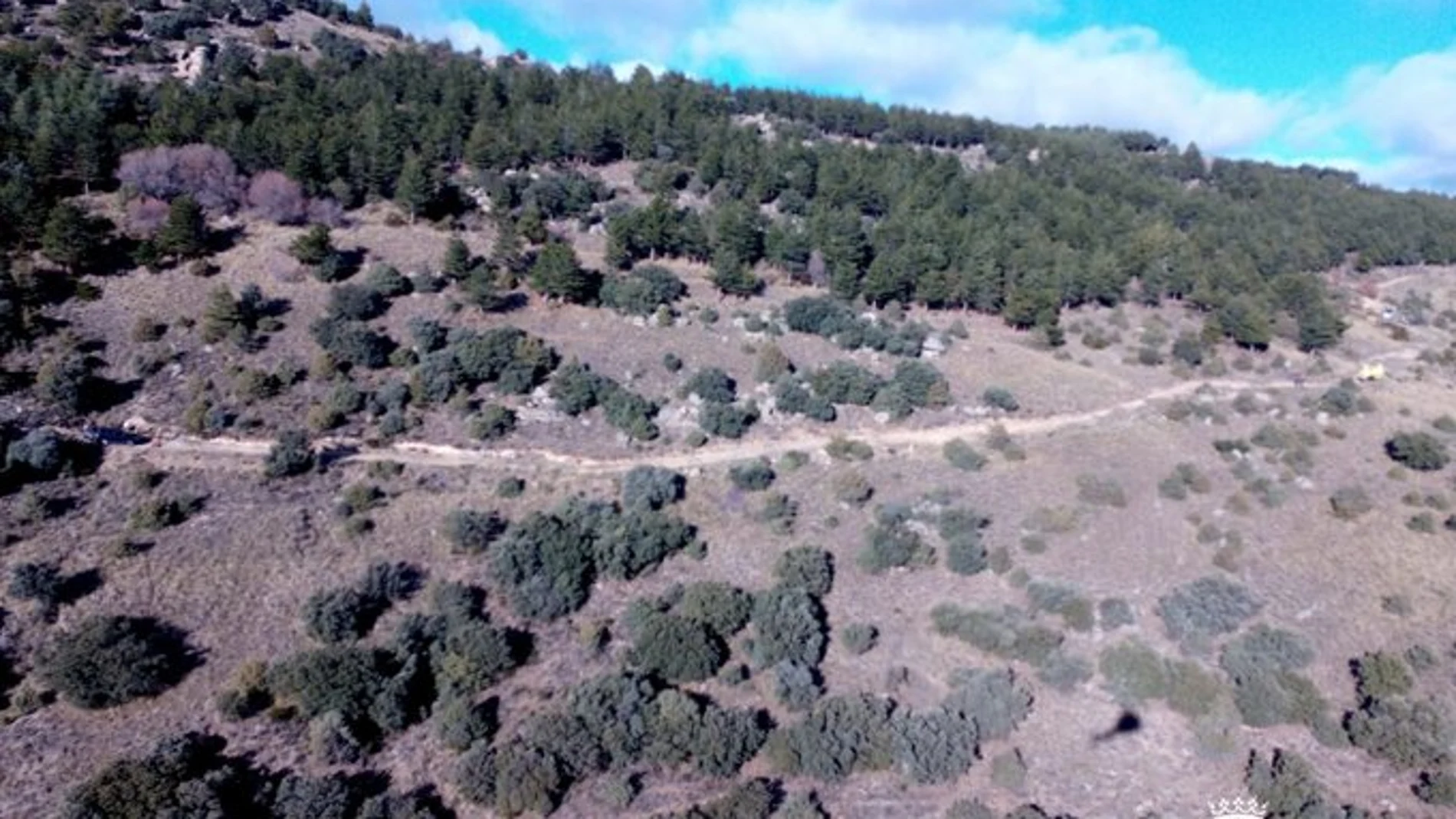 Lugar donde ha ocurrido el accidente en Aliseda de Tormes (Ávila)