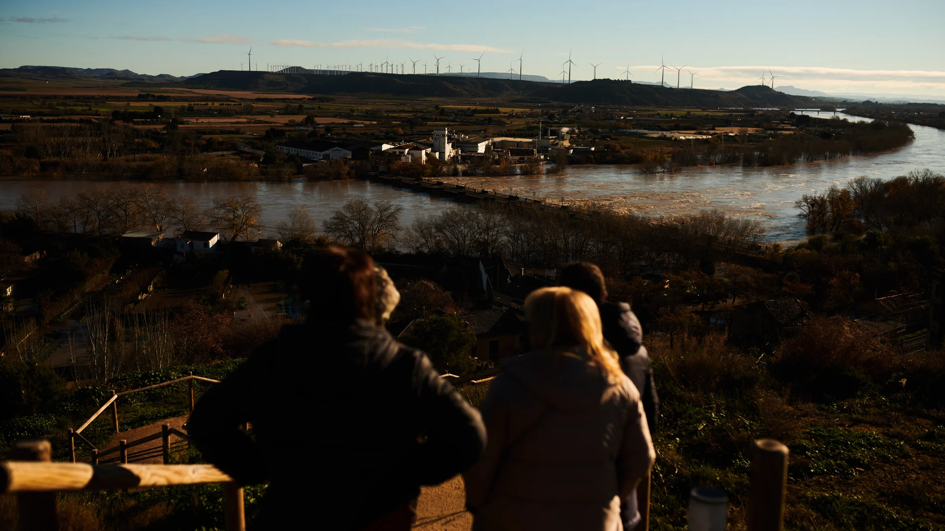 Terrenos del municipio de Tudela, inundados por la crecida del río Ebro