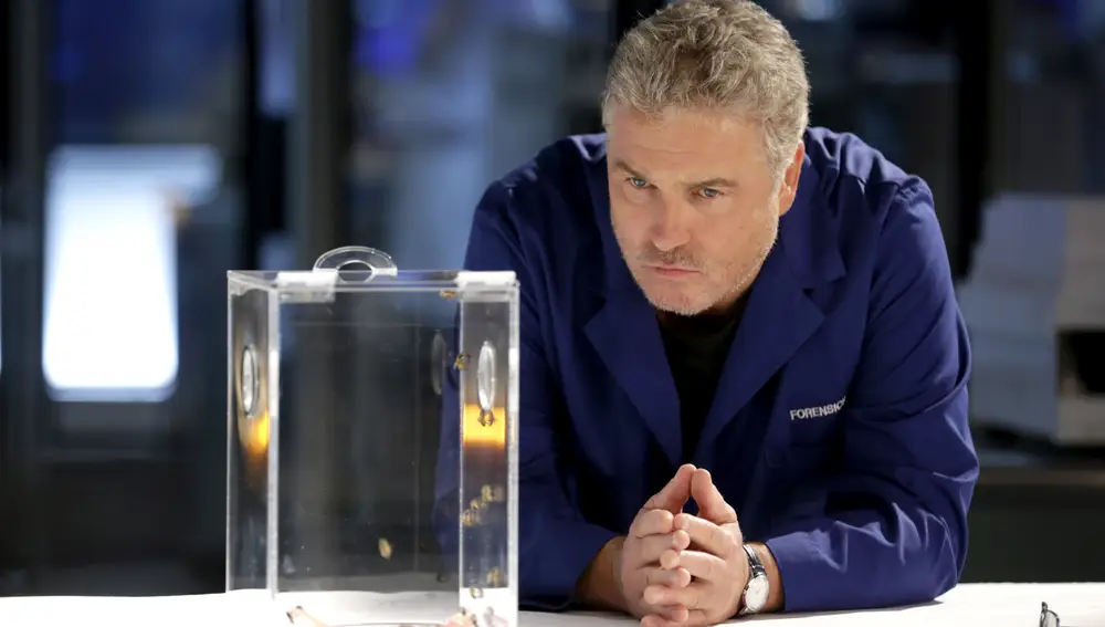 CSI: VEGAS