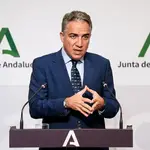 El consejero de Presidencia de la Junta de Andalucía, y portavoz, Elías Bendodo. EFE/JUNTA DE ANDALUCÍA