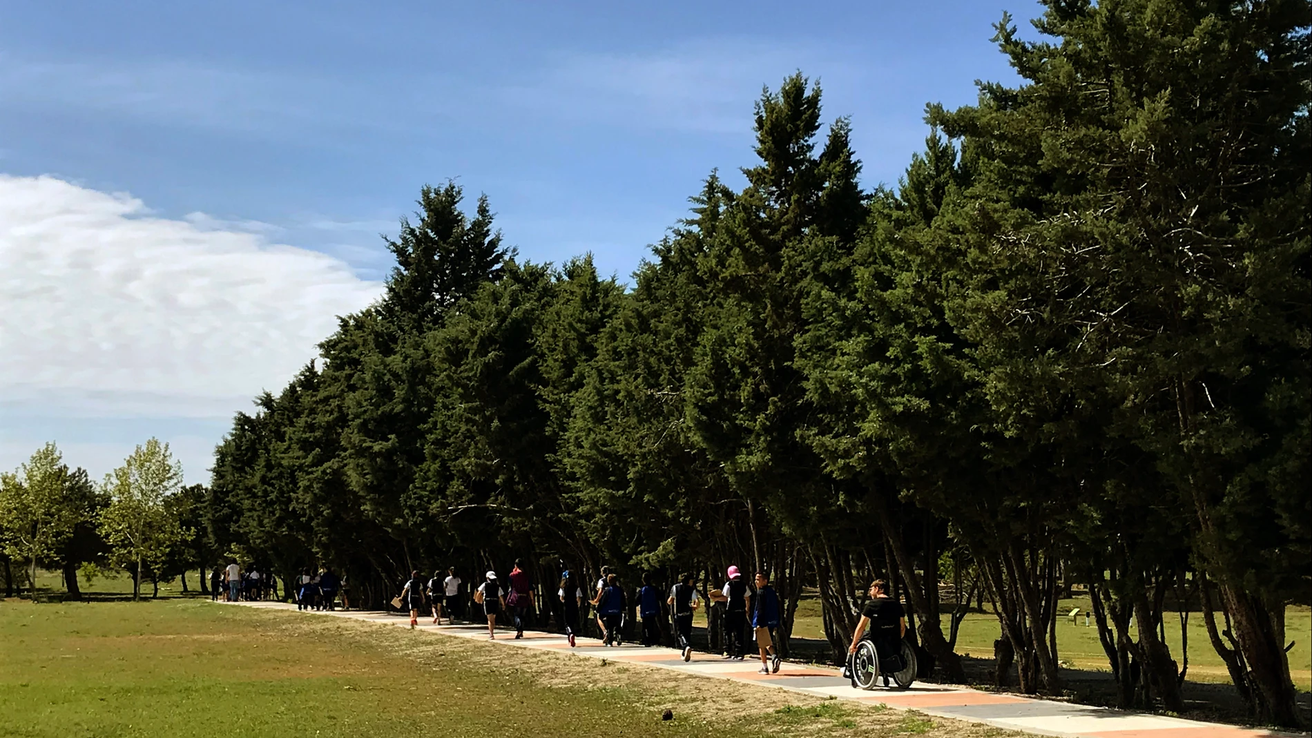 El Centro San Juan de Dios en Valladolid, recibe un premio nacional por su Sendero Verde