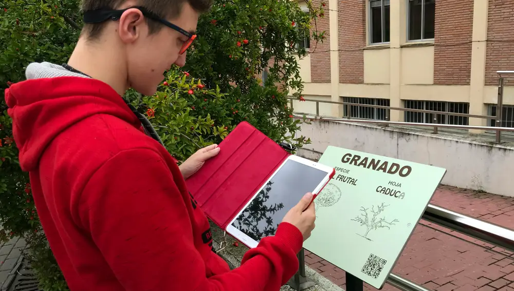 El Centro San Juan de Dios en Valladolid, recibe un premio nacional por su Sendero Verde