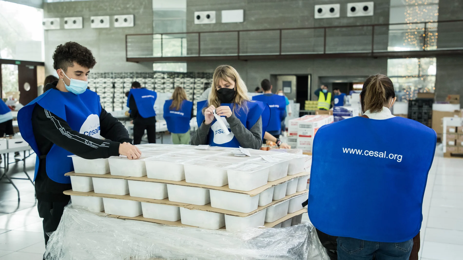 Voluntarios preparan las cinco mil cajas para la Gran Cena de Navidad que llegará a 20.000 personas vulnerables gracias a la iniciativa de Fundación La Caixa, CaixaBank y ONG CESAL