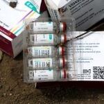 La Organización Mundial de la Salud dijo que hasta el 19 de diciembre se habían administrado 12.971.729 dosis de vacunas en Nigeria.