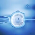 «Ningún embrión de padres sin anomalías genéticas tendría que ser excluido», es la opinión del Dr. Tesarik