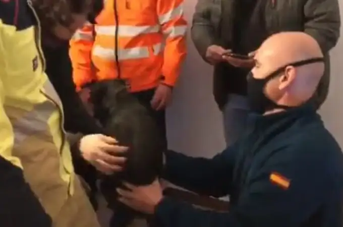 La Guardia Civil salva a una cría de pastor alemán 
