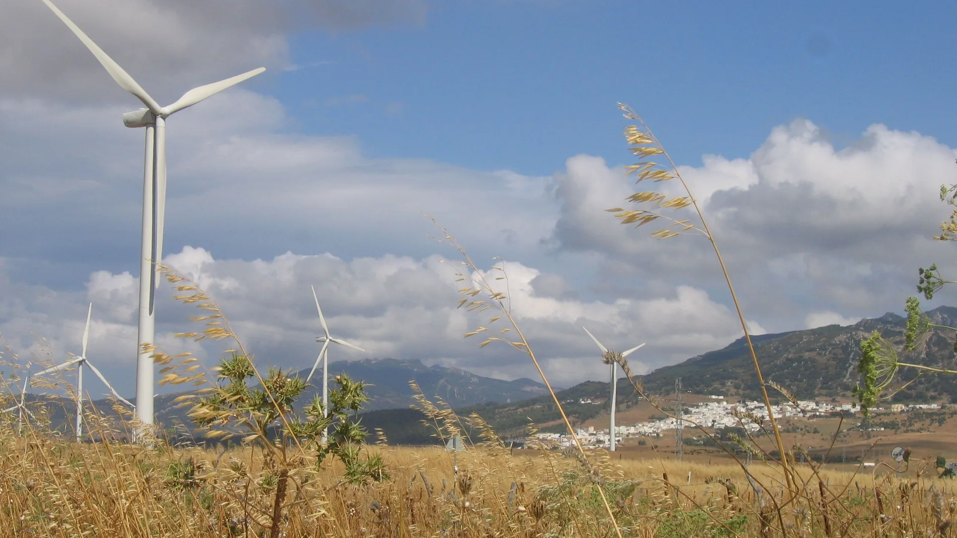La energía eólica tiene cada vez más implantación en Andalucía