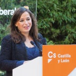 Villarroel afirma que Cs abre nueva era para preservar el espacio liberal